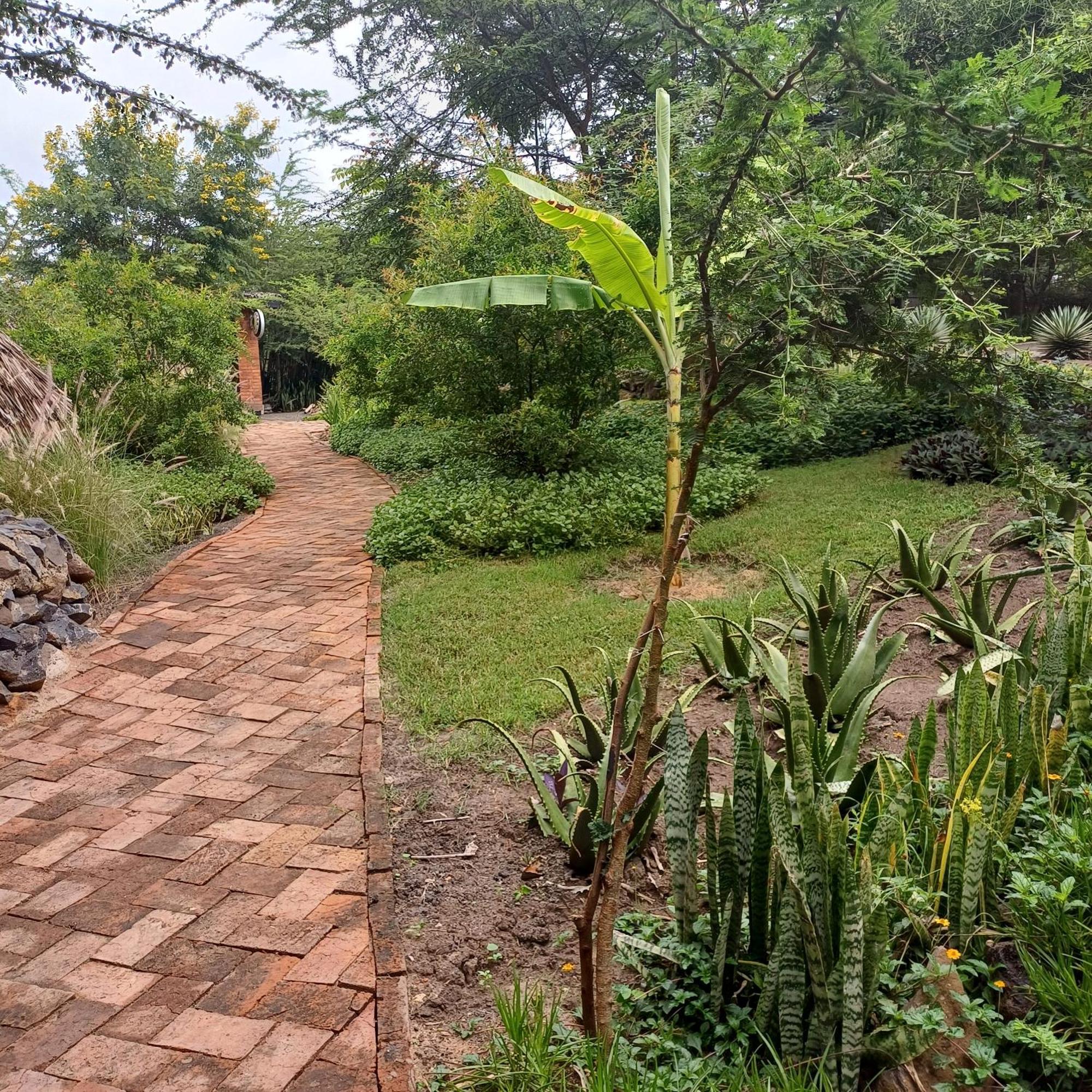Kutoka Lodge Arusza Zewnętrze zdjęcie